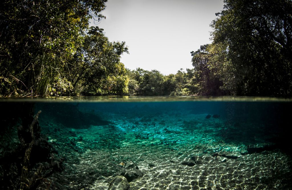 destinos de ecoturismo en Brasil