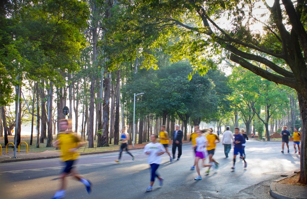 parque Ibirapuera