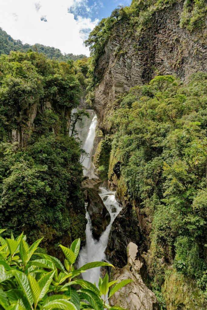 Cómo mantenerse seguro en la Selva Amazónica