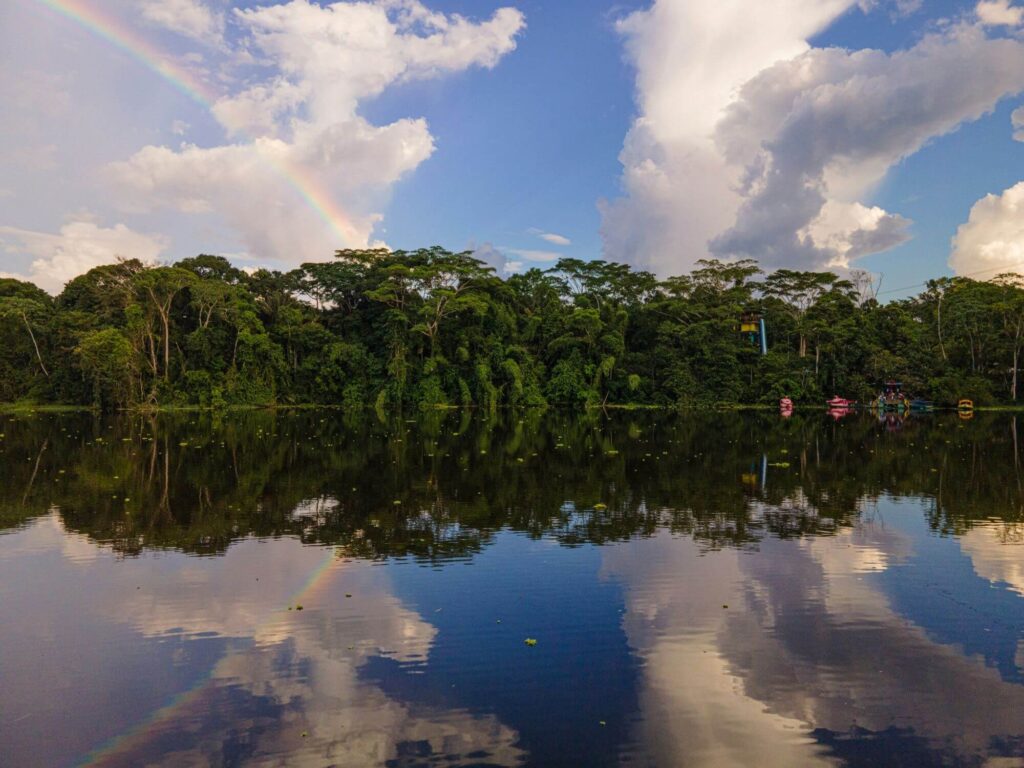 Cómo mantenerse seguro en la Selva Amazónica