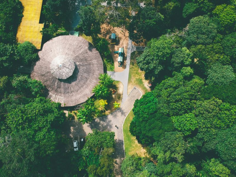 Manaos para turistas brasileños y extranjeros.
