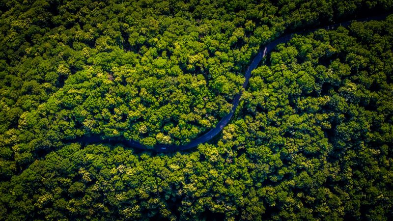 Mejor momento para visitar la Amazonía: qué cambia entre la crecida y la sequía