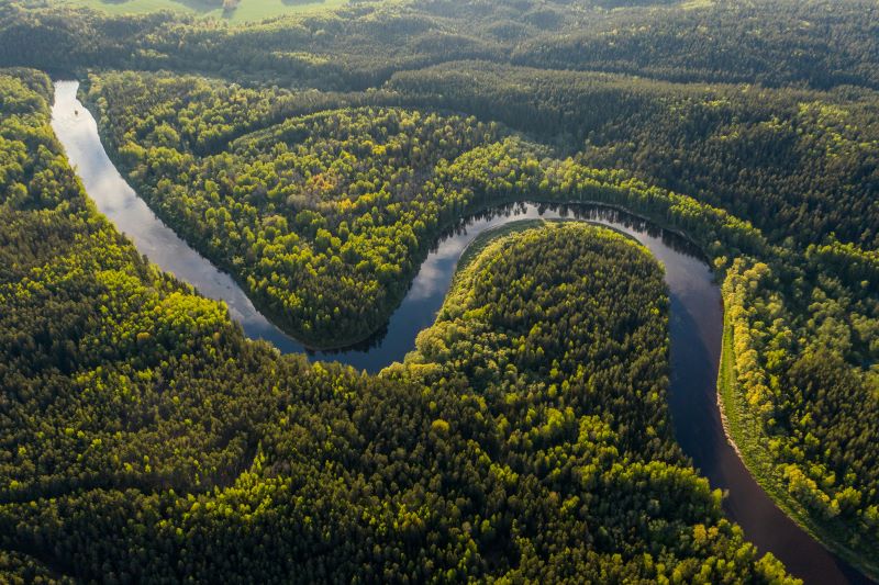 Mejor momento para visitar la Amazonía: qué cambia entre la crecida y la sequía