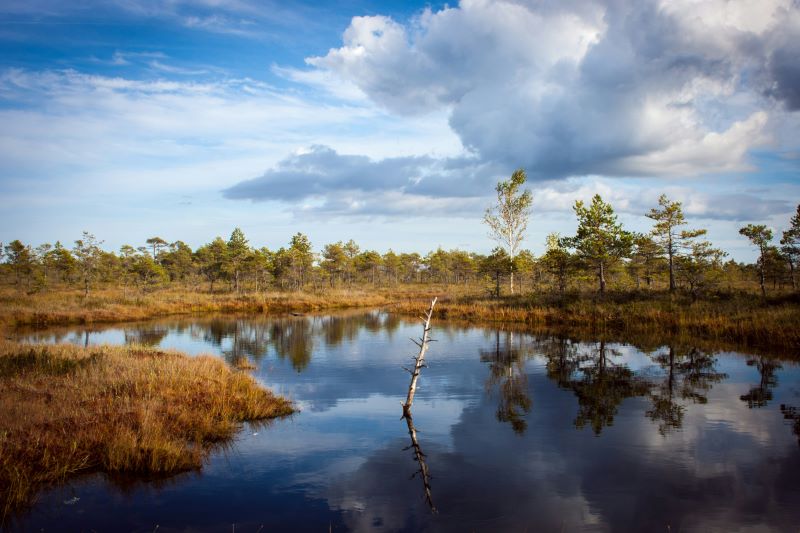 Otoño en Brasil – Clima, destinos y qué hacer en la estación más agradable del año