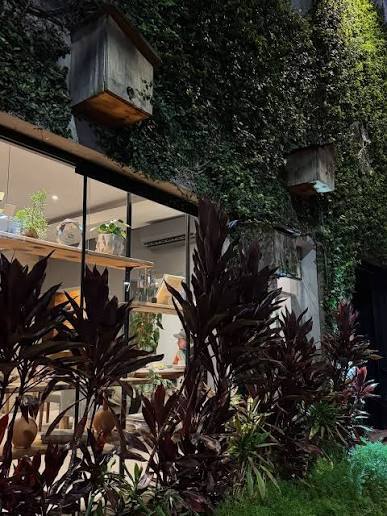 Mejores restaurantes en Curitiba: Guía con alta gastronomía, cocina local y consejos