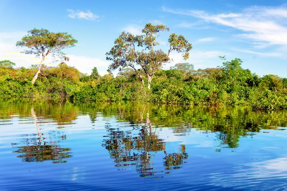 Boat tour in Manaus