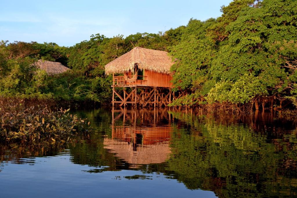 The Best Hotels in the Amazon Rainforest