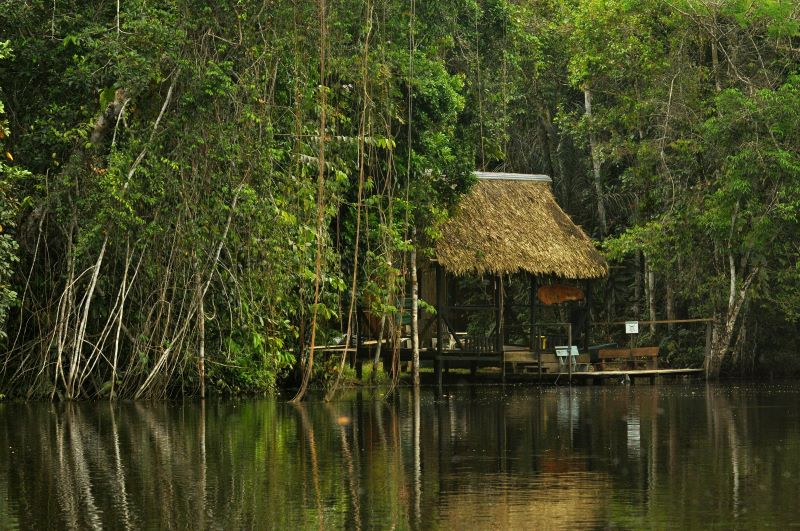 Internet access in the Amazon – Does it really work? Discover how to stay online in 2025