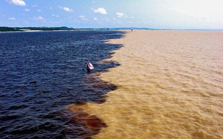 Meeting of the Waters in Brazil – What it is and how to see it [2025]
