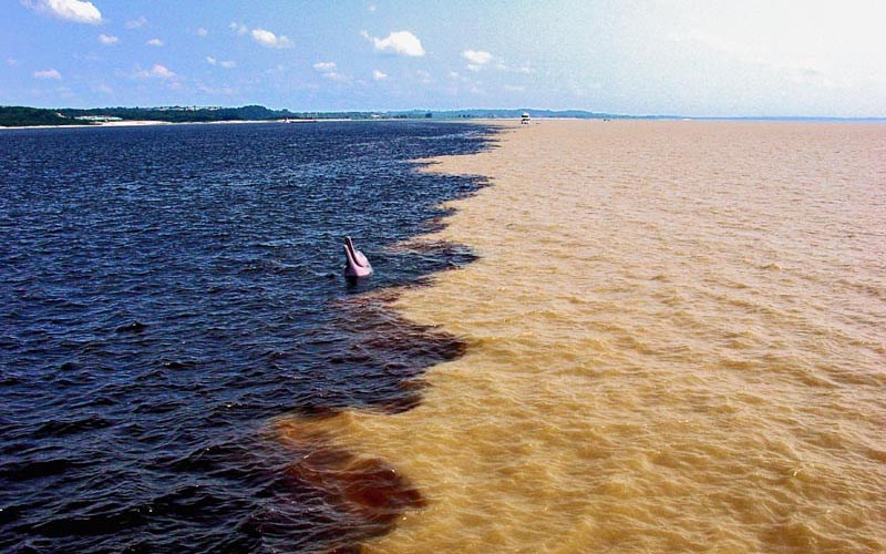Meeting of the Waters: the phenomenon that splits two rivers and fascinates Brazil
