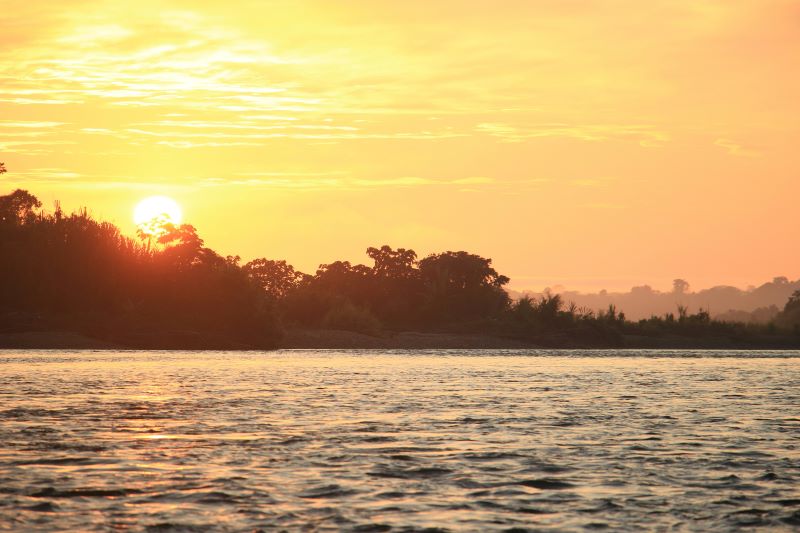 Best time to visit the Amazon: what changes between the flood and dry seasons