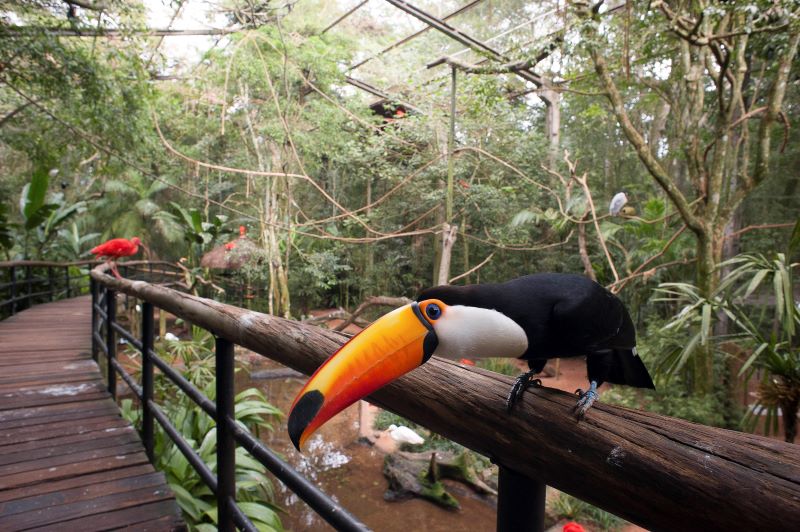 What to do in Iguazu Falls – 7 best options for your unforgettable trip