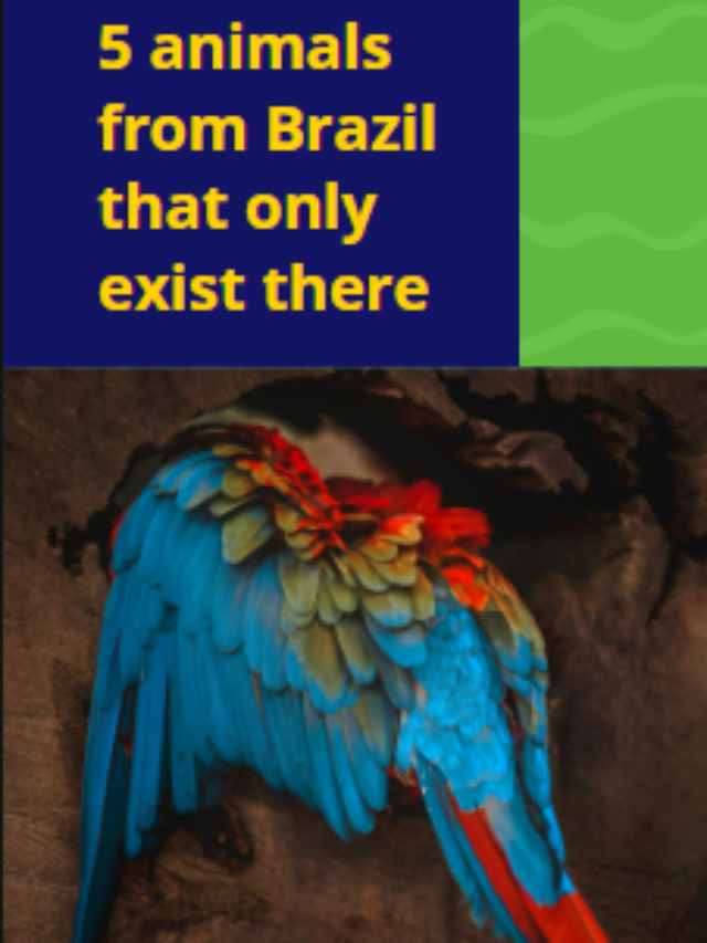 5 animals from Brazil that only exist there