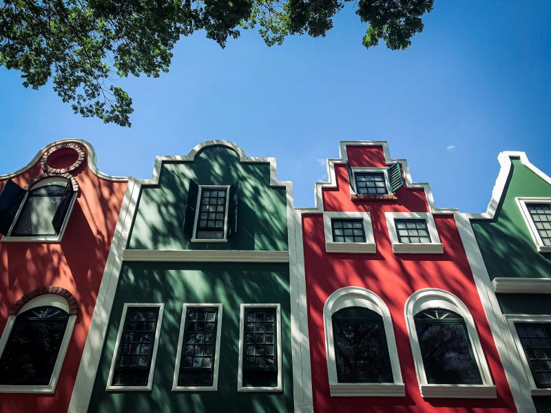 Spring in Brazil: weather, top destinations and what to see in the most blooming season of the year