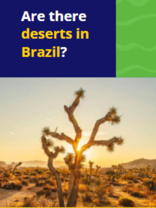 Are there deserts in Brazil?