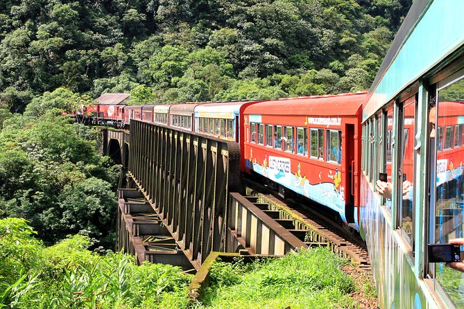 What to do in Curitiba: 1, 2, and 3-day itineraries + practical tips